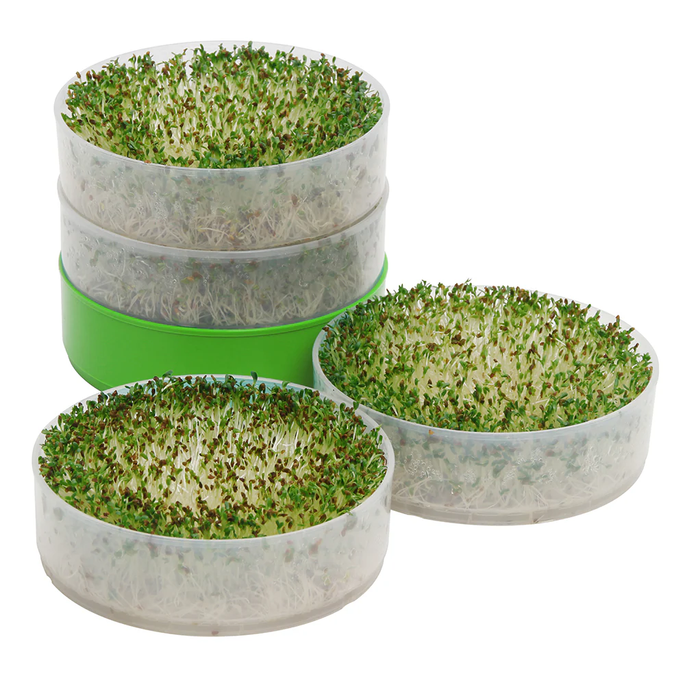 Deluxe Kitchen Crop Sprouter with Alfalfa & Broccoli Seeds Included - Image 4