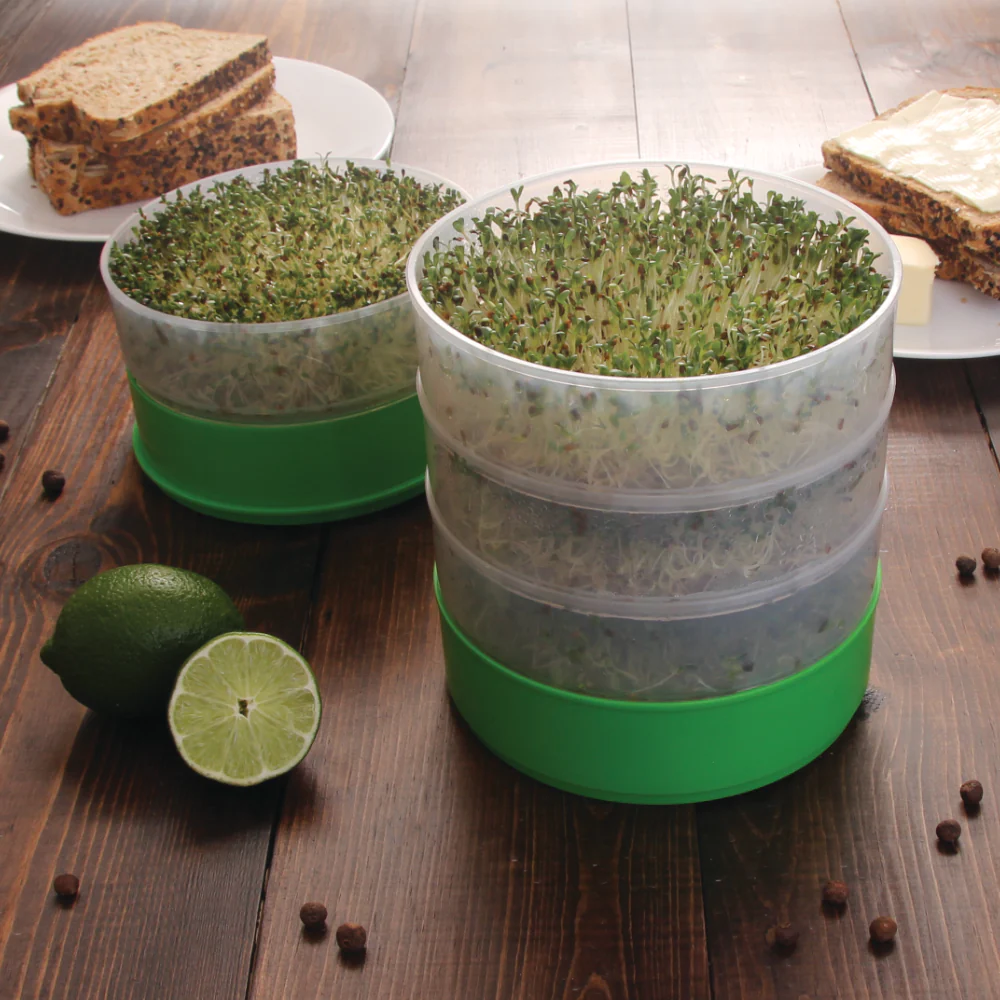 Deluxe Kitchen Crop Sprouter with Alfalfa & Broccoli Seeds Included - Image 6