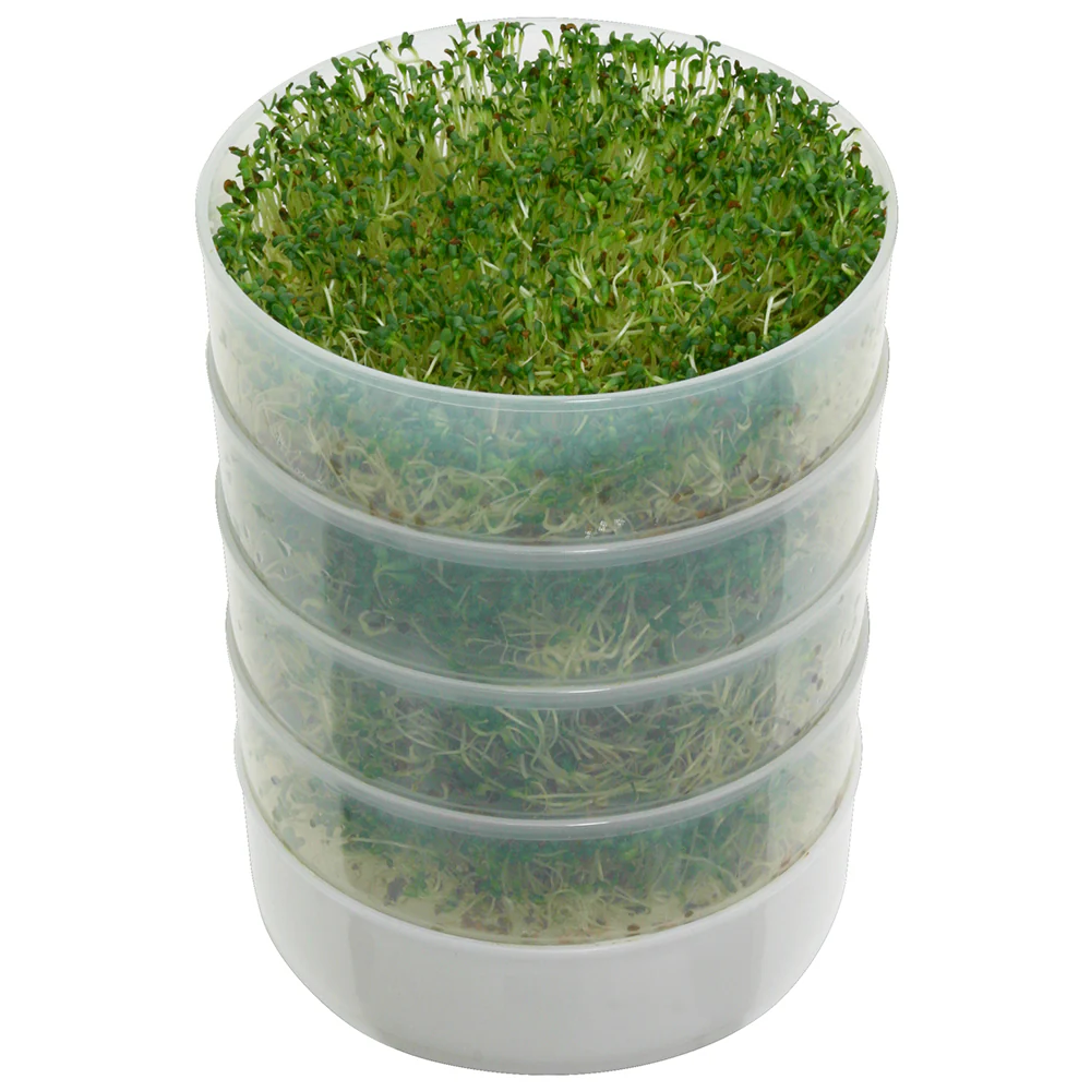 Kitchen Crop 4-Tray Sprouter - Image 4